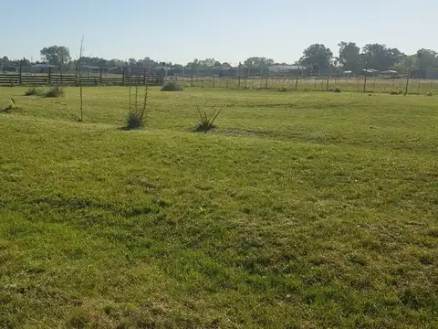 OPORTUNIDAD  EXCELENTE TERRENO DE 5.004,40 M2 EN GUERNICA