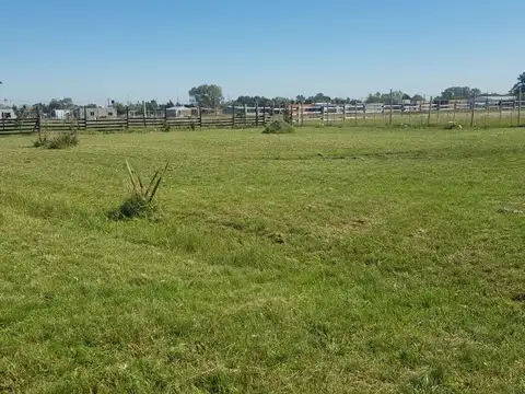 Terreno en Venta en Guernica, USD 47.500
