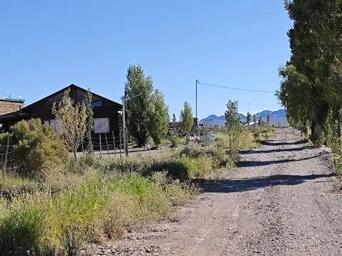 Ruta 149 100