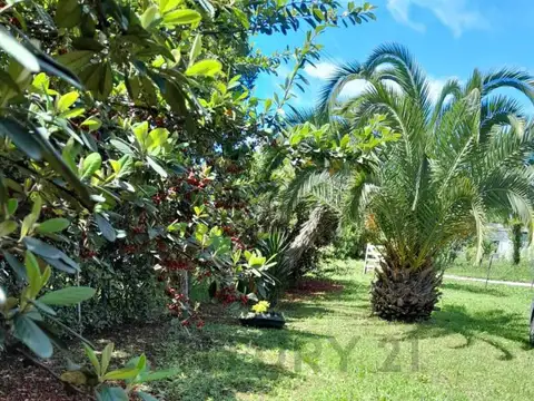 24 y 27 - LOTE EN VENTA EN VIEYTES 1500 Mtos2