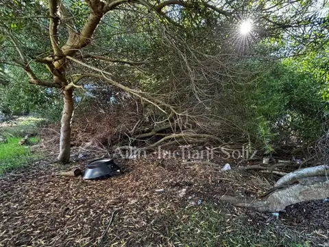 Terreno en Zona Nueva Atlantis