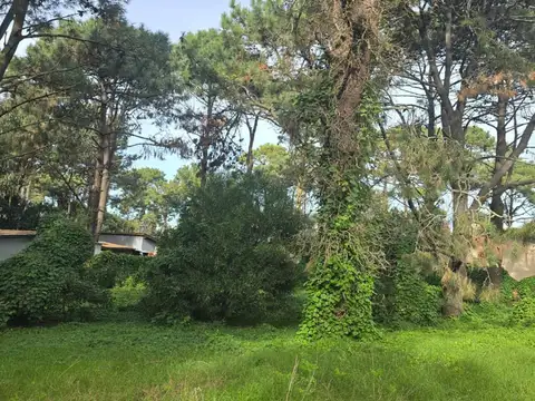 Terreno en Venta de 428,0 m2