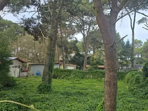 VENTA LOTE RESIDENCIAL UNIFAMILIAR OSTENDE