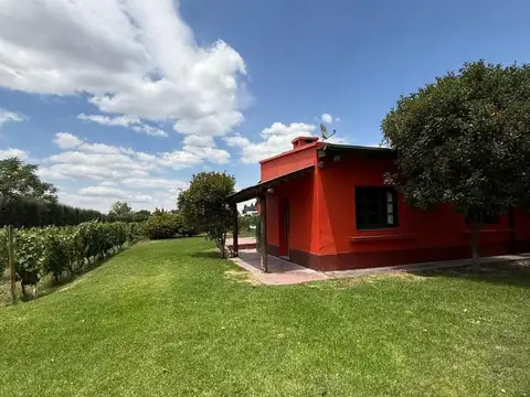 Casa en Alquiler de 1 dormitorio