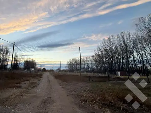 China Muerta  al 0