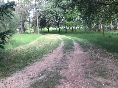 Campo en Venta de 4,20  ha