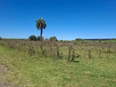 VENTA FRACCIÓN INDUSTRIAL 4 HA UBICACIÓN ESTRATÉGICA