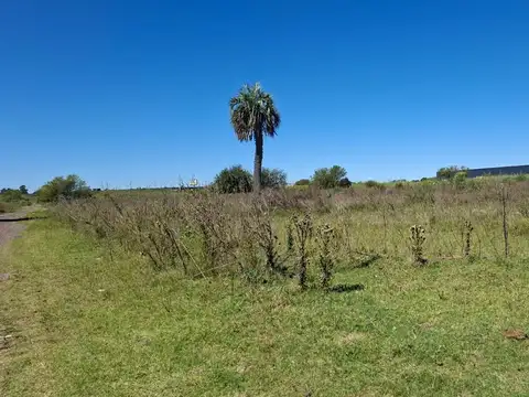 VENTA FRACCIÓN INDUSTRIAL 4 HA UBICACIÓN ESTRATÉGICA