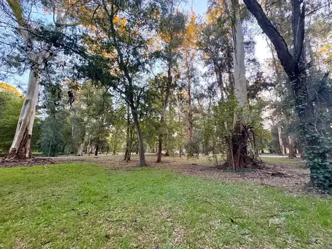 Terreno en Venta 48  mts Frente