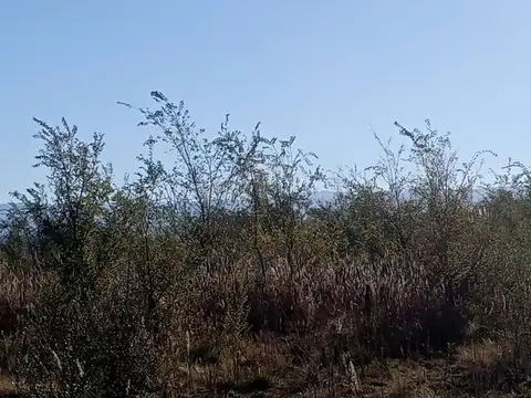 5 HAS. EN LOS REARTES CON VISTAS A LAS MONTAÑAS