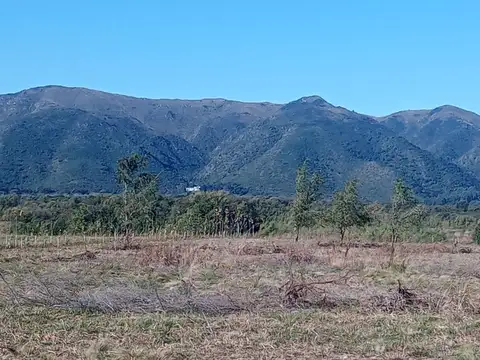 5 HAS. EN LOS REARTES CON VISTAS A LAS MONTAÑAS