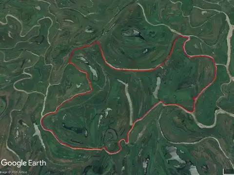 Campo en Alquiler 800 Ha en Entre Ríos