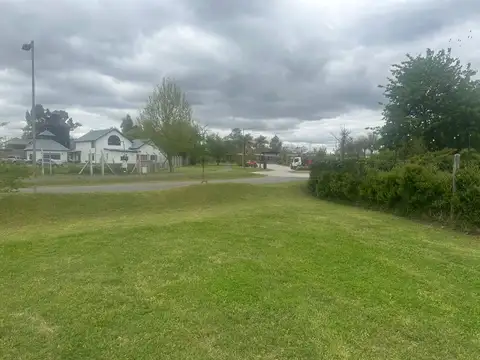 AZURRA - TORTUGAS  VENDE   VENDE    VENDE !!!