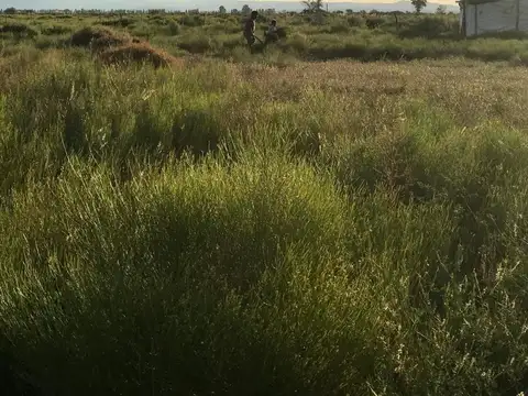 Terreno en Venta de 50000,0 m2