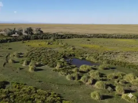 VENTA GRAN CAMPO MALARGUE MENDOZA