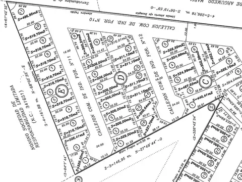 Severo delCastillo  al 1317