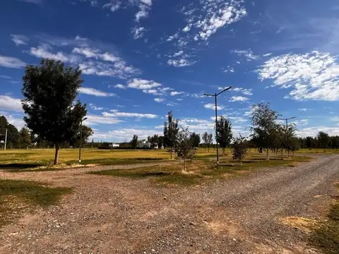 Terreno en Venta de 1300,0 m2