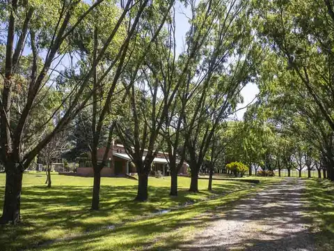 Campo de 38 hectáreas en Navarro