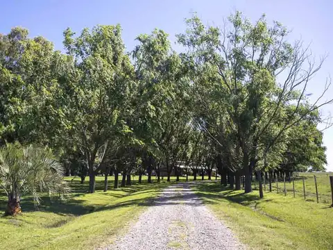 Campo en Venta de 38  ha