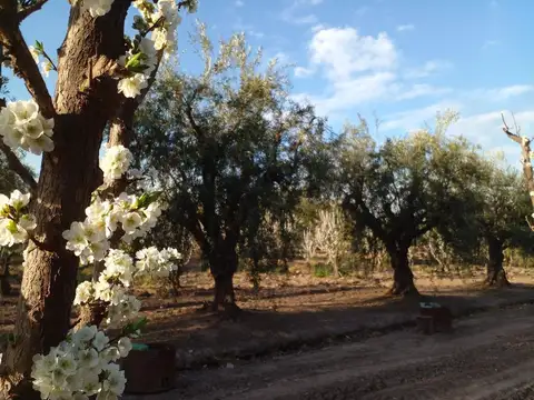 Tropero Sosa y Castro Barros s/n 100