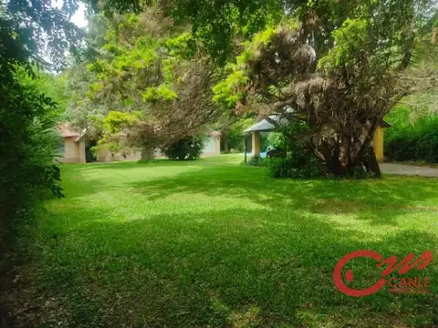 Zorrilla de San Martin 3000