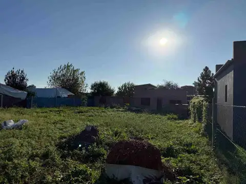 Calle Camino Real Santa Rosa