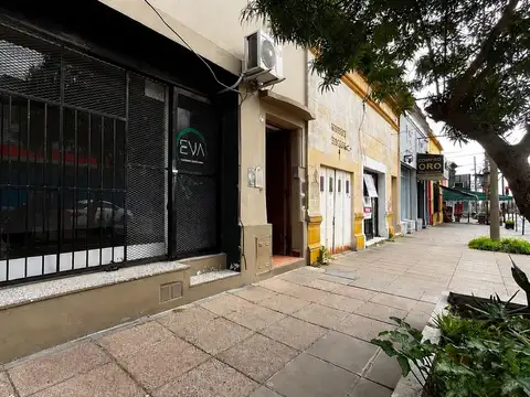 LOCAL EN ALQUILER CAMPANA