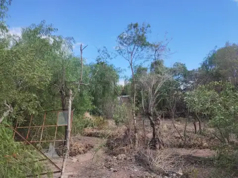 Patricias Argentinas 400
