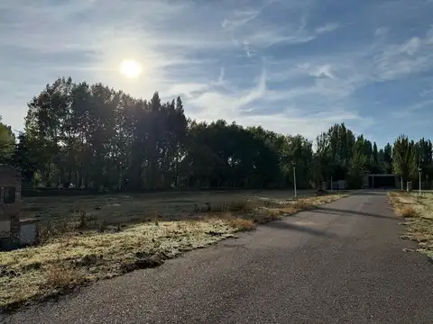 Terreno en Venta en Plottier, USD 45.000