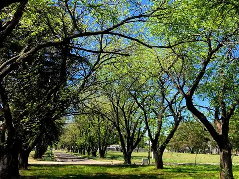 Terreno en Venta en San Nicolás de los Arroyos, USD 37.000