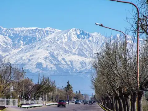 LOTE EN VENTA LA CONSULTA,SAN CARLOS VALLE DE UCO