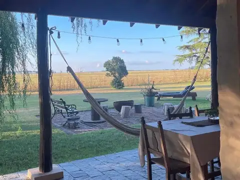 Alquiler Campo Estancia Mercedes Navarro BA