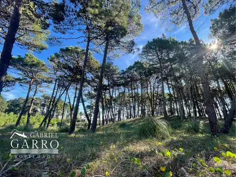 Lote en venta En Barrio Privado Pioneros (PINAMAR)
