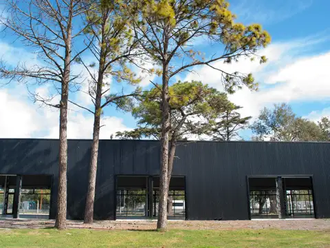 Local en Alquiler en Alvear, USD 500