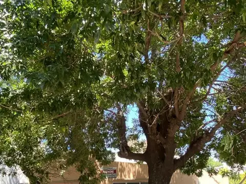 Casa en Venta en Ludueña, USD 43.000