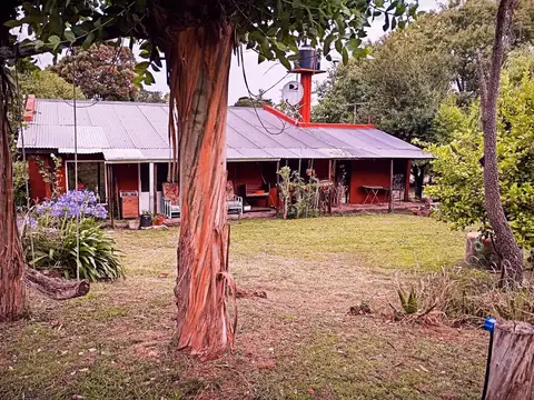 Hermosa Casa Quinta, más cabaña, quincho y piscina. Muy Forestado. Gas Natural