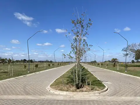EcoTierra, Pueblo Esther - Lote 300m2 - Distrito Cero
