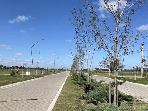 Terreno en Venta 30  mts Fondo