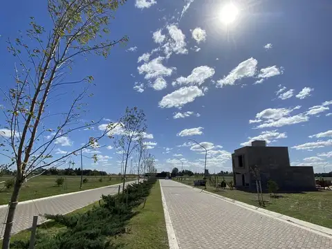 Terreno en Venta de 300,0 m2
