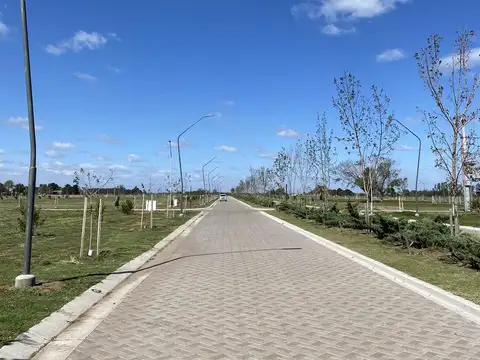 Terreno en Venta 10  mts Frente