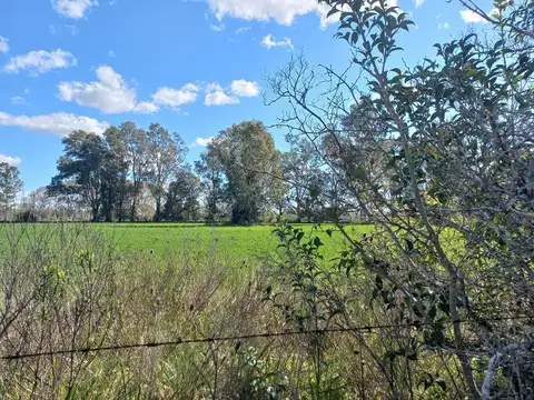 Chacra 47 has en Kilometro 61 Fátima-Manzanares-Pilar