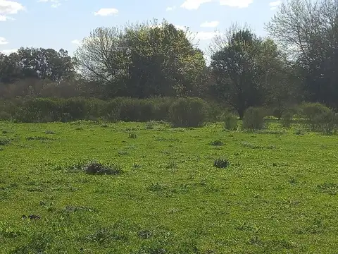 Terreno en Venta en Kilometro 61, USD 1.800.000