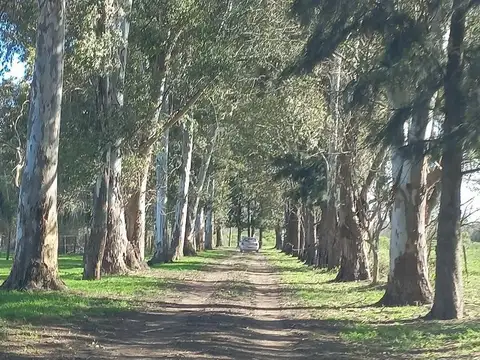 Atalaya a 3 km de Panamericana 8