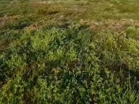 B° Cerrado Ayres De Belén - Margarita Belén