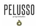 Pelusso Propiedades