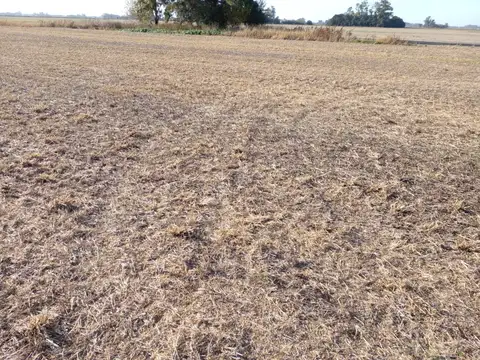 Campo en Venta Agricola