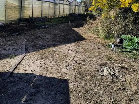 Campo en Venta en Poblet [Cod: 7450-222]