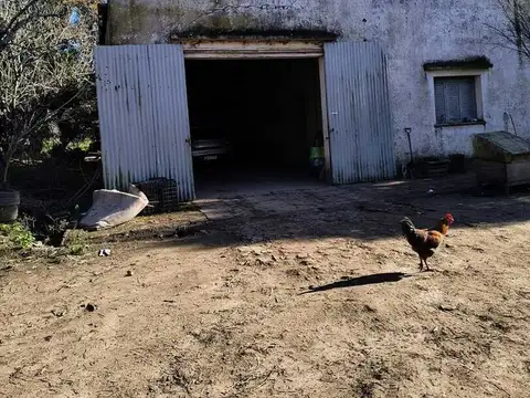 Campo en Venta en Poblet [Cod: 7450-222]