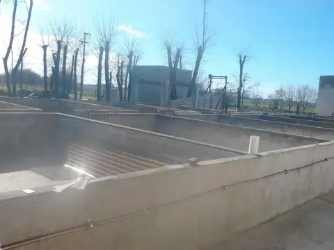 Edificio comercial en venta - 6 dormitorios 2 baños - frigorífico - 20 hectáreas - Navarro