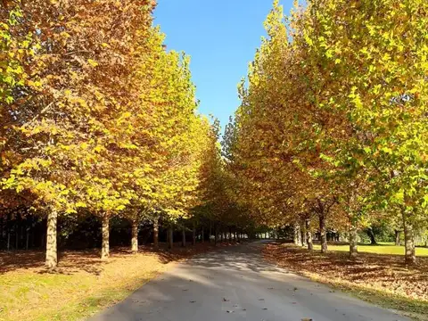 Terreno en Venta en El Nacional Club de Campo, USD 35.000